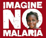 Imagine No Malaria 